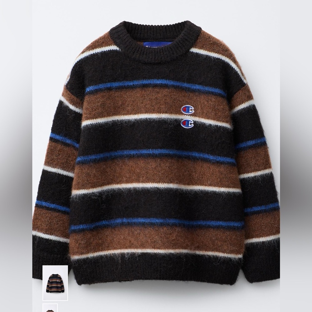 Champion x Zara Crewneck Sweater - Black, Brown, and Blue Stripes